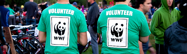 WWF celebra el trabajo hecho por los voluntarios