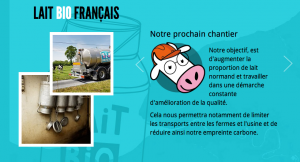 les 2 vaches _ work in progress